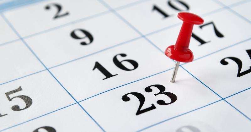 Calendar dashboard in Big Nest